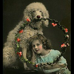 An old friend.
American, wife & mother
Always #DogRight 🐕