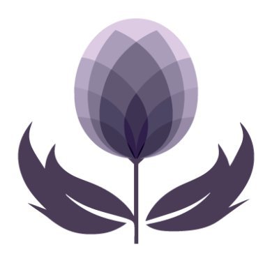 ThistleDecorate's profile picture. 