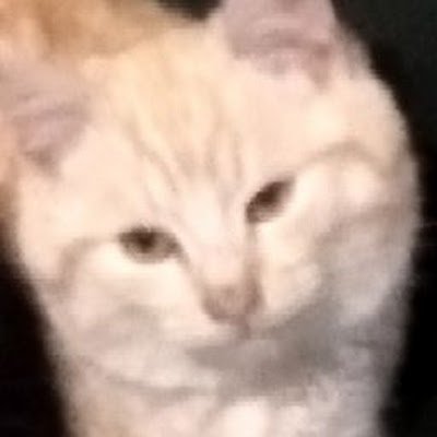 Smuzzi4K16710's profile picture. 