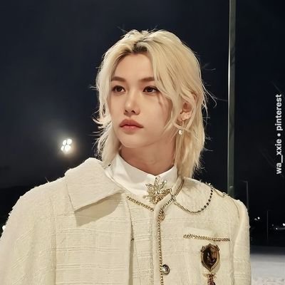 72flix72's profile picture. stray kids💙exo🤍blackpink🩷