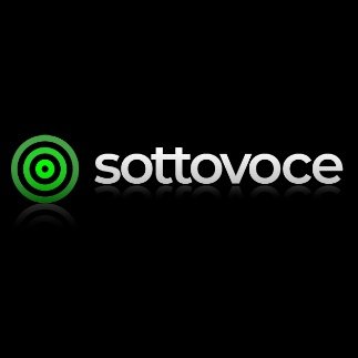 Sottovoce, a revolutionary business intelligence system that incorporates hearing health monitoring tailored to enhancing the performance of arts organisations.