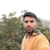 Arash Nickkhoo (@nickkhoo_arash) 's Twitter Profile Photo Arash Nickkhoo (@nickkhoo_arash) 's Twitter Profile Photo