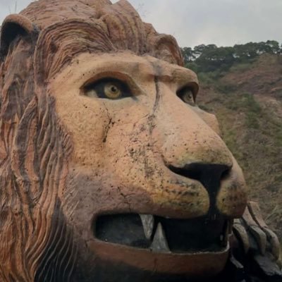 TwinGetit's profile picture. In a pickle? I can cure that. LocksOnly.