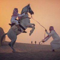 محمد السعيد ~بوابراهيم~ (@m6966m) 's Twitter Profile