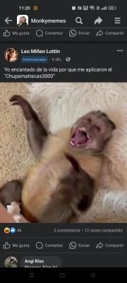 muiz182443's profile picture. Me gustan las mujeres, recién empiezo a descubrir el mundo de las chicas $cort$.
Daré RT a todas y contare experiencias personales con algunas de ellas.