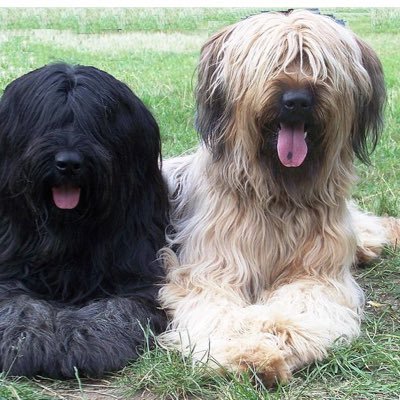 leBRIARD13's profile picture. 