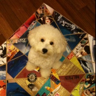 fruitdropss's profile picture. 