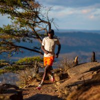 Coree Woltering (@gcxc13) 's Twitter Profile
