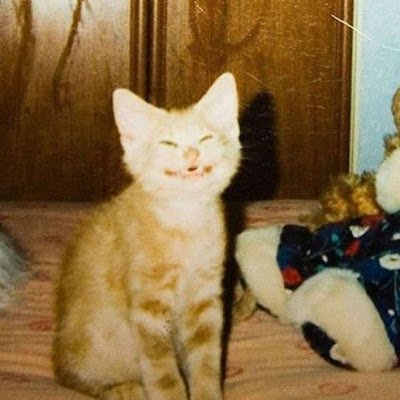 KANJIN2802's profile picture. 