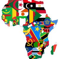 Pan-African Epidemic/Pandemic WorkingGroup(@Africahealth24) 's Twitter Profile Photo