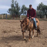 William (@williammaples44) 's Twitter Profile