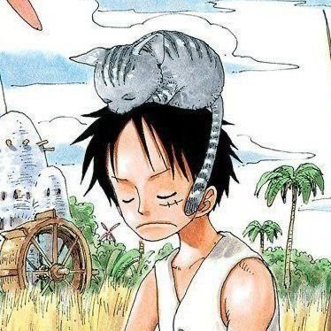 tabs || she/her || (21) || many many fandoms || currently watching one piece