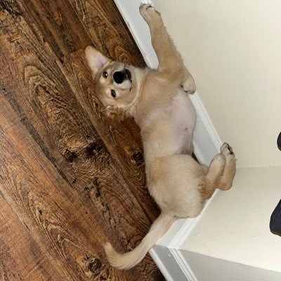 Btg8921's profile picture. 