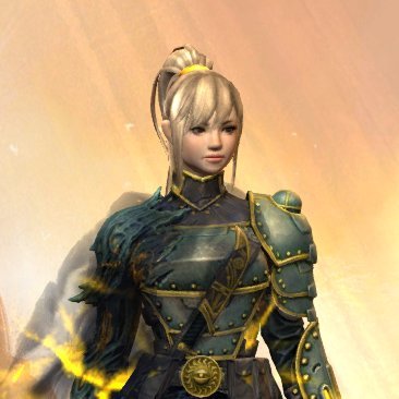 Hello everyone! I am Glaedir Arason, from the Guild Wars 2 universe, and I am here to share my alter-egos' and my own experience in Tyria.