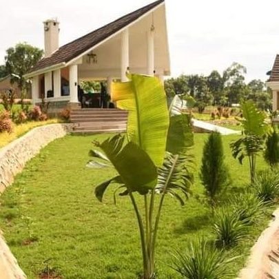 rop4582's profile picture. Alex