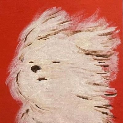 terrortropical's profile picture. @louiswtsystem 💙✨