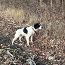 caleb fall - @calebfall1991 - Twitter