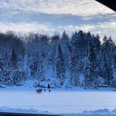 Le_Falleh's profile picture. Data Analyst