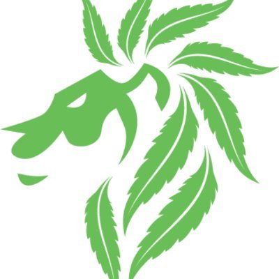 Cannabis Risk Manager brings together a love for the cannabis with profound know-how in managing risk 🌱💼 🌎#CannabisIndustry #Riskmanagement