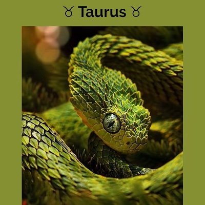 hag88600's profile picture. 