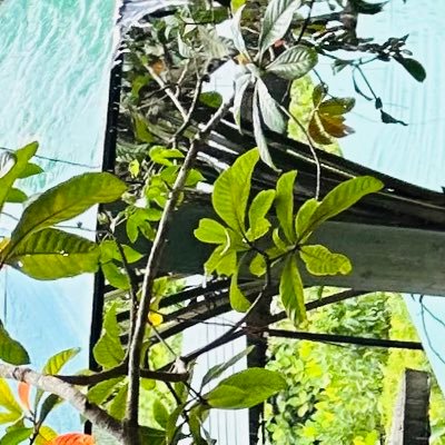 ShermilaKingsl3's profile picture. 