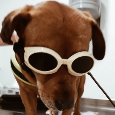 byHache11's profile picture. no lo pillo