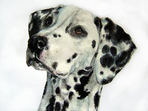 BestPetPortrait's profile picture. Best Pet Portraits aim to produce pet portraits of your animal best friend that you will treasure for a lifetime. Painted by animal portrait artist- Jess Wood