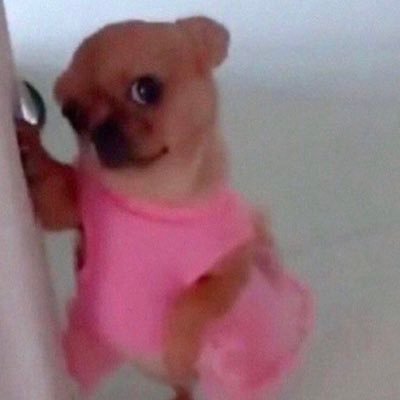 MiIeyCat's profile picture. mwah