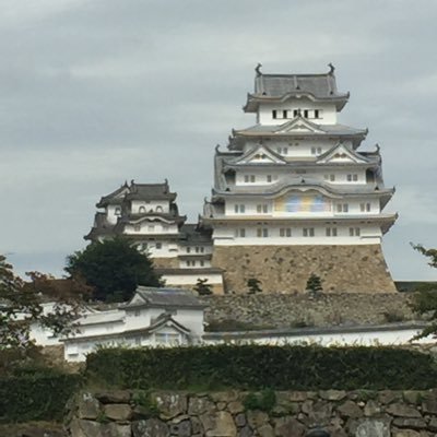 ダイキホ、、、ロス中。スポーツなら相撲。妙義龍関が1番かな。芸能なら落語です。158×78×59の相方有りのおじさんです^_^ 鍵つきにします。