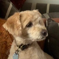 Jaylin Steuber (@steuberjay51918) 's Twitter Profile