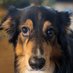 Tobi (@tobi_und_frauli) Twitter profile photo Tobi (@tobi_und_frauli) Twitter profile photo