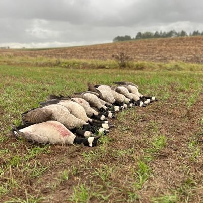 jvogs53's profile picture. 