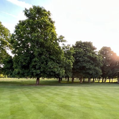 ads_g14's profile picture. 