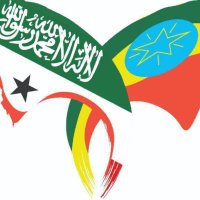 Somaliland in Ethiopia (@somalilandinet) 's Twitter Profile