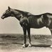 Save Horse Racing (@mike33024) Twitter profile photo Save Horse Racing (@mike33024) Twitter profile photo