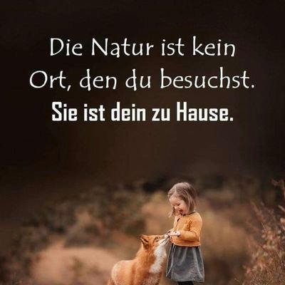 Lateral thinker, bonsai lover, open for opinions and discussions, #IchstehefürFrieden