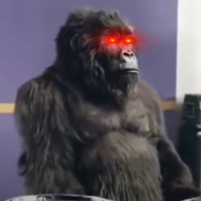 hodlaocoin's profile picture. 