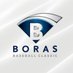 The Boras Baseball Classic (@TheBorasClassic) Twitter profile photo
