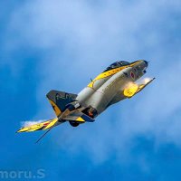Mamoru.S(アマチュア フォトグラファー) (@aviation_359) Twitter profile photo
