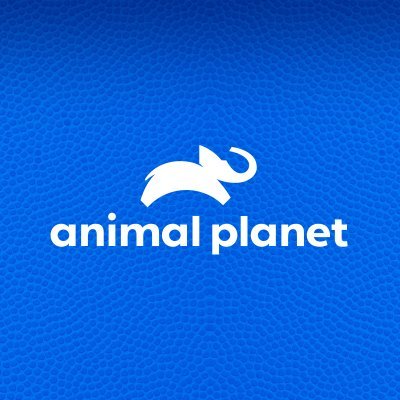 Animal Planet Profile