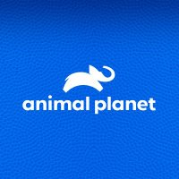 Animal Planet(@AnimalPlanet) 's Twitter Profileg