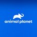 Animal Planet (@AnimalPlanet) Twitter profile photo