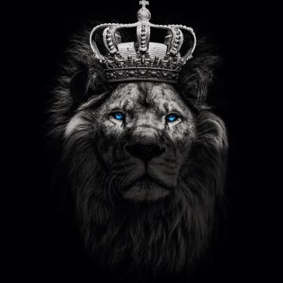 xKing_r6's profile picture. ▪️23 🇩🇪 ▪️Player for @PlayingDucks R6 Console ▪️#G2Army