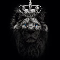 Kingツ (@kingcplay) 's Twitter Profile Photo Kingツ (@kingcplay) 's Twitter Profile Photo