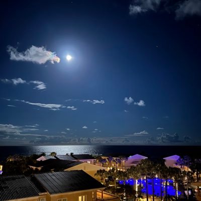 ldoan21's profile picture. 