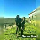 Sienna Beard - @siiennabeard - Twitter