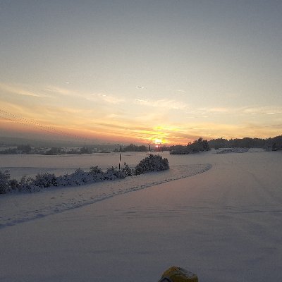 S207183's profile picture. International security, diplomacy, military & intel.