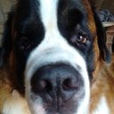 Fanny Cummings - @CummingsFa12756 - Twitter