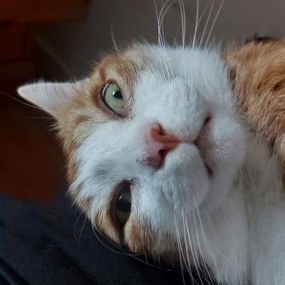 tickler57972's profile picture. 