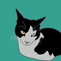 petey 💖 (@yourpalpetey) 's Twitter Profile Photo petey 💖 (@yourpalpetey) 's Twitter Profile Photo